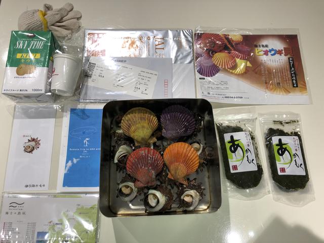 画像1: JALならではのオンライントリップは、まずデジタルフライトからスタートします