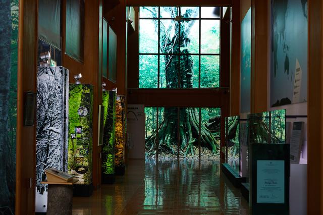 画像1: 白神の入り口。「白神山地世界遺産センター(藤里館)」