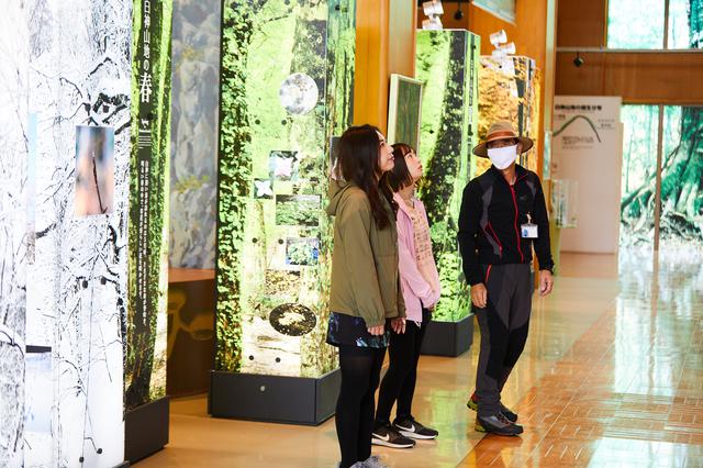 画像2: 白神の入り口。「白神山地世界遺産センター(藤里館)」