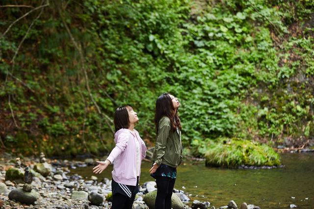 画像2: 憩いの名瀑「峨瓏(がろう)の滝」から、森へ
