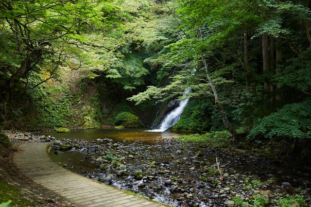 画像1: 憩いの名瀑「峨瓏(がろう)の滝」から、森へ