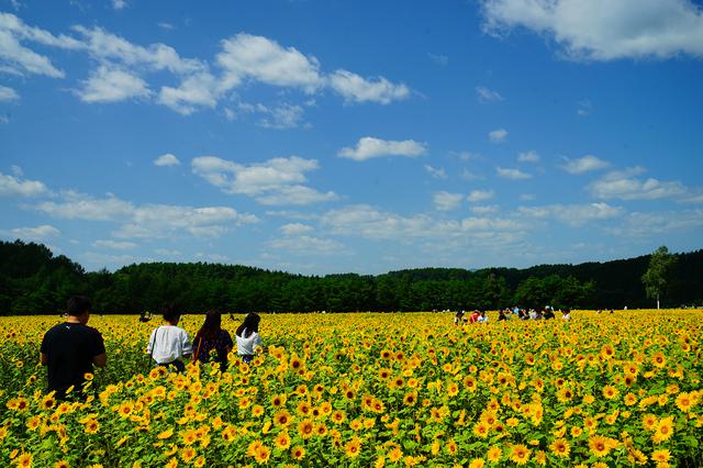 画像8: 青森 自然豊かな八戸市南郷地域で昔ながらの田舎暮らし体験はいかがですか?