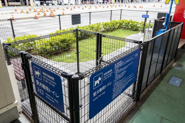 画像4: レンタカーとレンタルバイクがご利用いただきやすくなりました