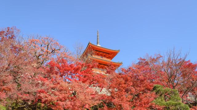 画像: iStock/Pratchaya
