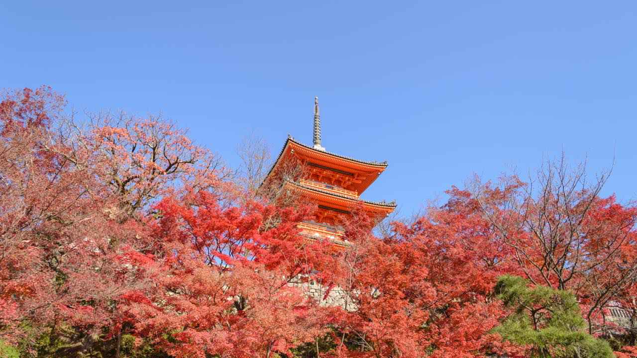 画像: iStock/Pratchaya