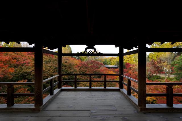 画像2: 通天橋からの眺め