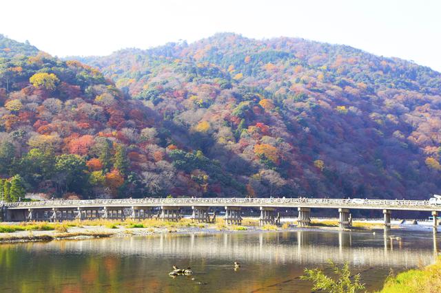 画像2: いにしえの景勝地・嵐山で自然に溶け込み心身を浄化