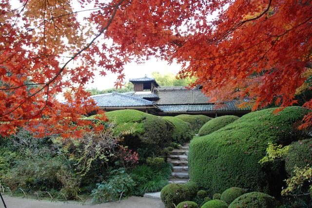 画像: 風趣が満ちる詩仙堂で、白砂に映える紅葉と心静かに向き合う