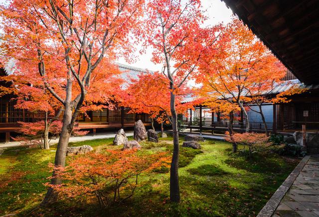 画像: 新旧のアートと紅葉がコラボする京都最古の禅寺・建仁寺