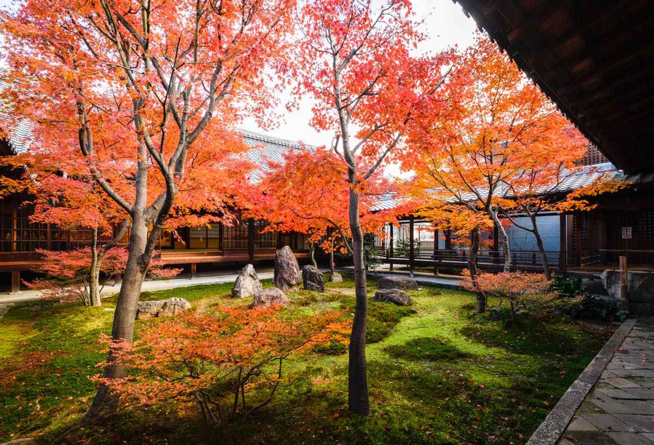 画像: 新旧のアートと紅葉がコラボする京都最古の禅寺・建仁寺