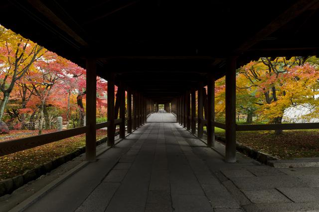 画像1: 通天橋からの眺め