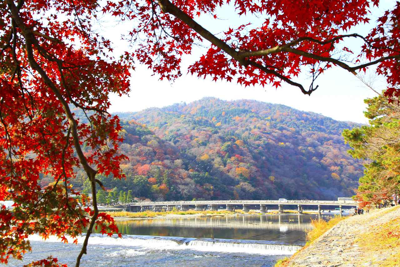 画像1: いにしえの景勝地・嵐山で自然に溶け込み心身を浄化