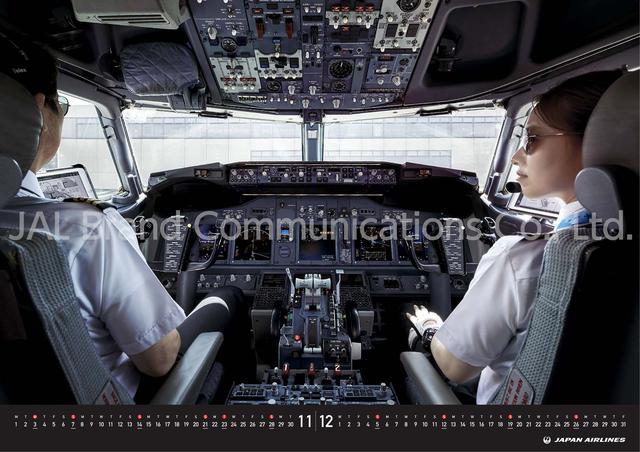 画像: 「JAL PILOT -I have Control-」(3,300円・税込)