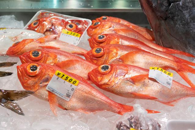画像: うらりマルシェではたくさんの魚屋さんが元気に声をかけてきます。新鮮なお魚が並びます。
