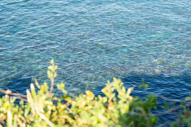 画像: 城ヶ島まで来ると海の透明度も一段と高く、透き通っています。