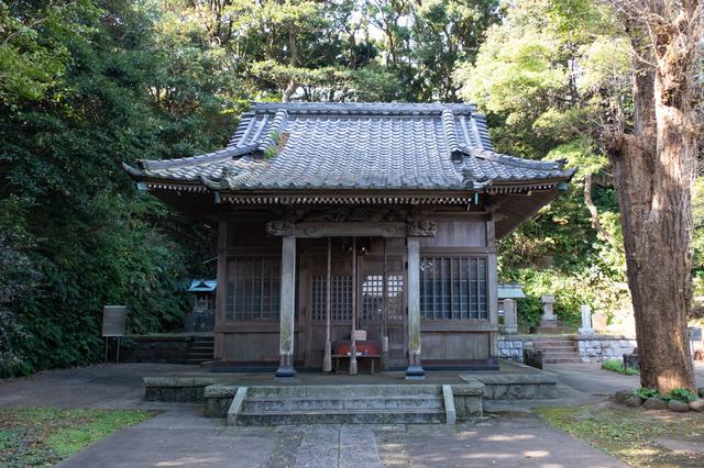 画像: 境内からも海が見える、少し高台にある神社です。近所の方がおさんぽしていたり海鳥の声が聞こえたり、気持ち安らぐ場所でした。
