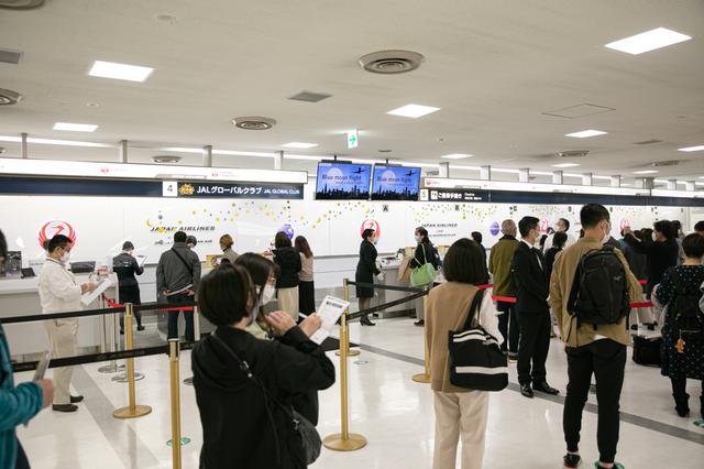画像2: 目的地は「空」。フライトの楽しみに特化する旅 「JAL 空たびフライト」