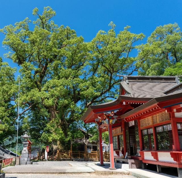 画像6: 鹿児島 歴史と自然、懐かしい日本の原風景。姶良市の魅力、再発見。