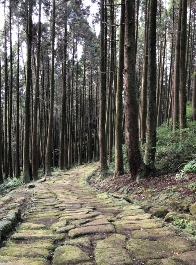 画像3: 鹿児島 歴史と自然、懐かしい日本の原風景。姶良市の魅力、再発見。