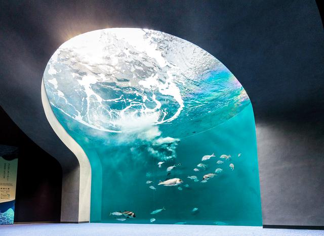 画像2: 提供:四国水族館