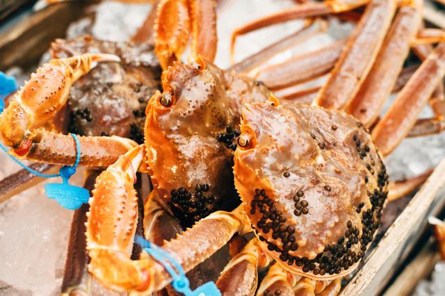 画像1: 「津居山かに」は、食通もうなる関西随一のブランド蟹