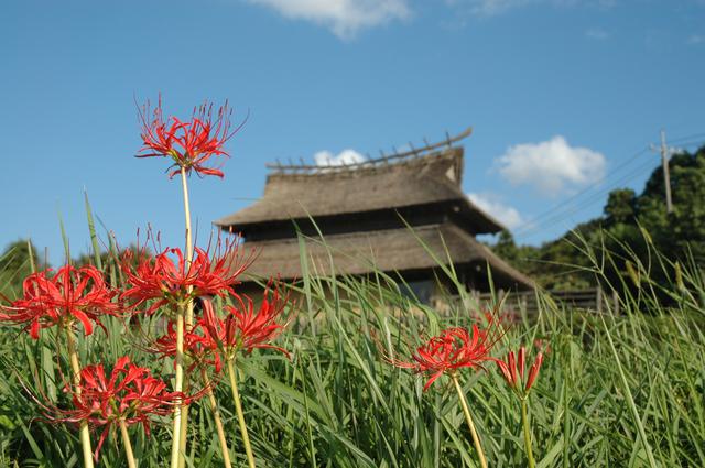 画像1: 【縄文~弥生】古代の王族気分で「ひえ」や「あわ」、「そ」などの古代食を味わえる「松園」