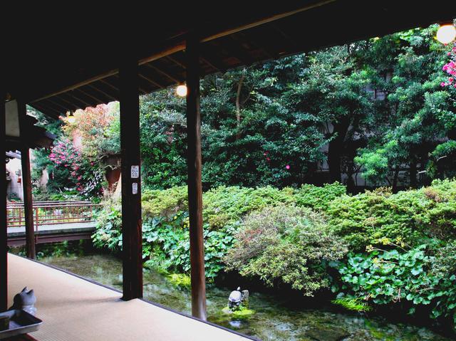 画像: 明治建築の一軒家の大広間は、眺めも良く、ゆったりとした時が流れている