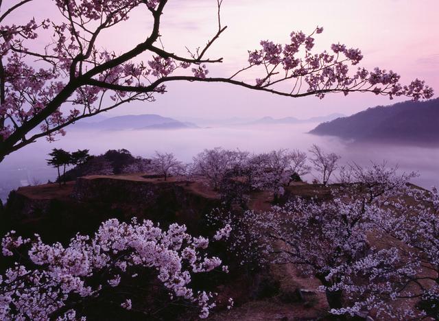 画像2: まるで海外!知られざる日本の奇跡の絶景5選