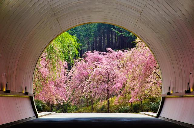 画像: 天空から秘境まで。絶景とアートを楽しむ美術館めぐり