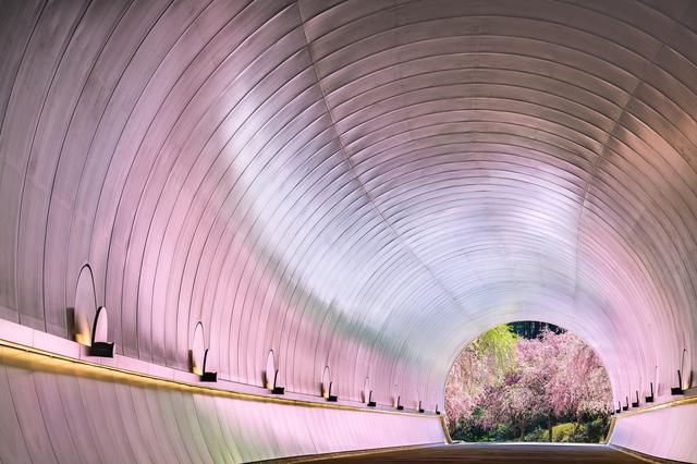 画像4: 【滋賀】「MIHO MUSEUM」で桃源郷に迷い込む
