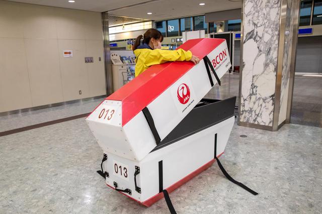 画像2: “愛車と飛行機”の夢を叶えます。JALの輪行サービスで行く、しまなみ海道サイクリング
