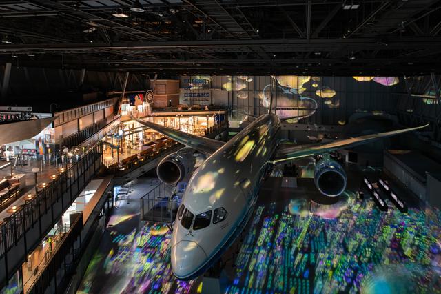 画像3: あのチームラボが手掛ける、「FLIGHT PARK」