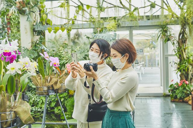 画像5: 四季折々の自然に囲まれた、広大な「牧野植物園」を旅気分で朝散歩