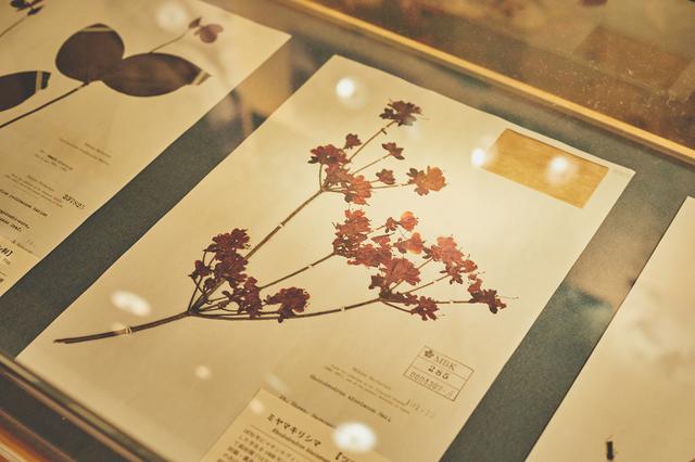 画像24: 今だからこそ心に残る思い出に。2泊3日の高知オトナ女子旅