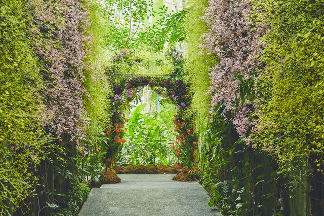 画像4: 四季折々の自然に囲まれた、広大な「牧野植物園」を旅気分で朝散歩