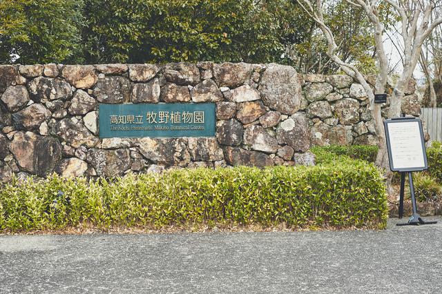 画像2: 四季折々の自然に囲まれた、広大な「牧野植物園」を旅気分で朝散歩