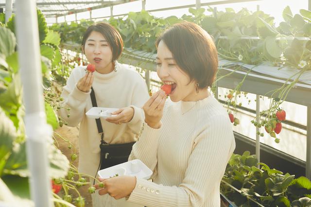 画像40: 今だからこそ心に残る思い出に。2泊3日の高知オトナ女子旅