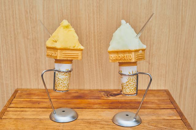 画像3: 旅の締めくくりに。「fam icecream station」で高知のゆずや柑橘のジェラートを