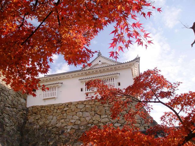 画像2: 提供:津山市観光協会