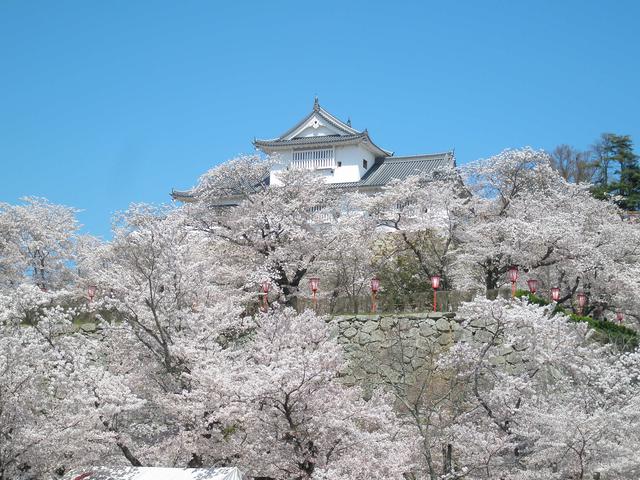 画像1: 提供:津山市観光協会