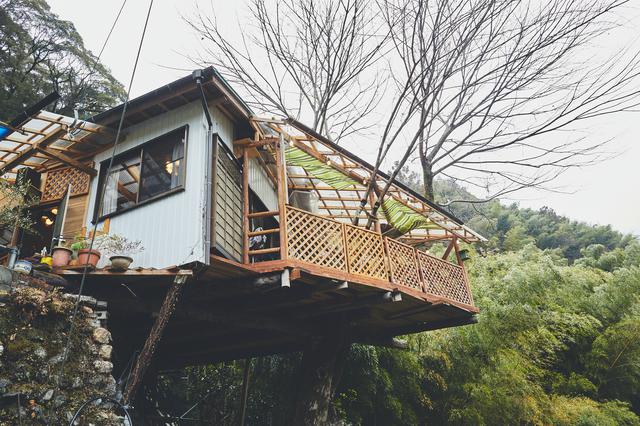 画像1: 小学2年生の店長と家族の温もり溢れるツリーハウスカフェ「perch」