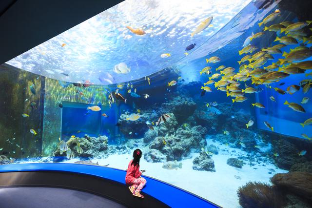 画像3: 「沖縄美ら海水族館」で、オリジナルマスクをゲット