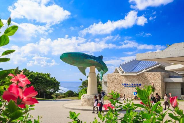 画像1: 「沖縄美ら海水族館」で、オリジナルマスクをゲット