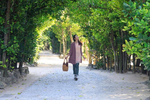 画像2: 「備瀬のフクギ並木」で、散歩をしながらグリーンシャワーを浴びよう