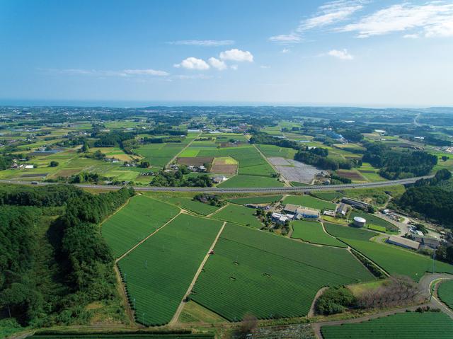 画像1: 【休日】日本一の規模を誇る「定期朝市」トロントロン軽トラ市も|トロントロンドーム(川南町)