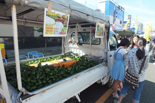 画像3: 【休日】日本一の規模を誇る「定期朝市」トロントロン軽トラ市も|トロントロンドーム(川南町)