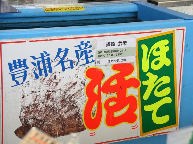 画像: 冬場は活ホタテも入荷。3年ものなどが購入可能(活かきも時期限定で販売している)