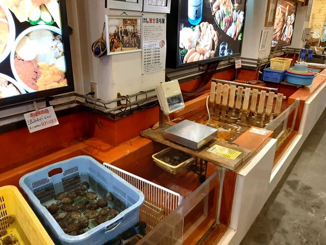 画像: 活ホタテやマツカワなど新鮮な海産物が入った、紫外線殺菌装置完備の生簀