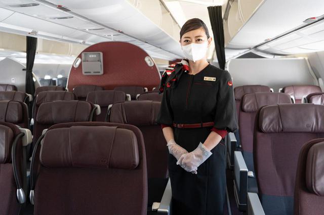 画像3: 旅マエのPCR検査からもしもの補償まで。JALの充実したコロナ対策で安全・安心の旅を