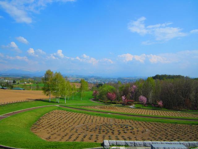 画像: 14:30 「北西の丘 展望公園」で美瑛のパノラマ景色を目に焼き付けよう